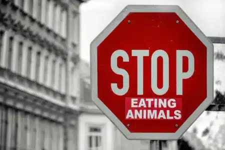 Beslenme ve Diyet Trendleri: Ketojenik Diyet, Vegan Beslenme ve İntermittent Fasting