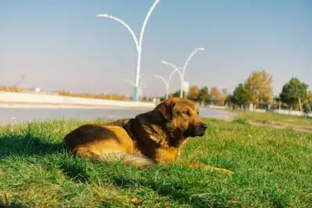 Konya Fiber İnternet Sorgulama - En Hızlı ve Uygun Seçenekler